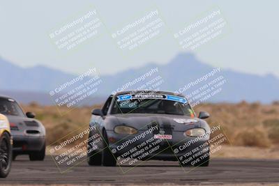 media/Feb-17-2024-Nasa AZ (Sat) [[ca3372609e]]/4-Race Group A/Session 2 Qualify (Turn 16)/